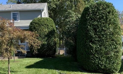 hedges trimming chambly