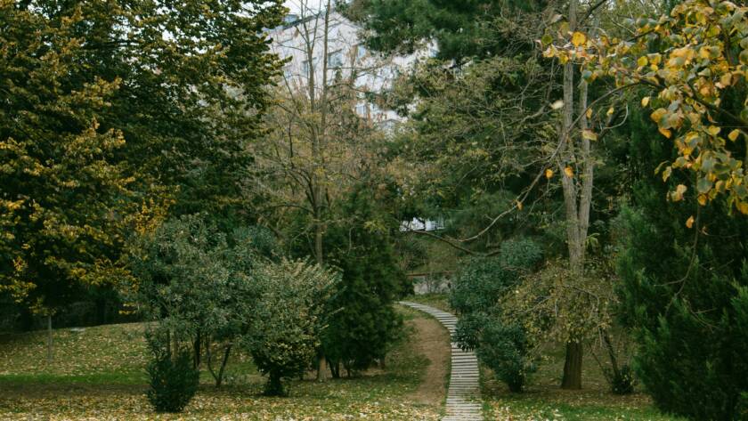 Paving Stones Pathway