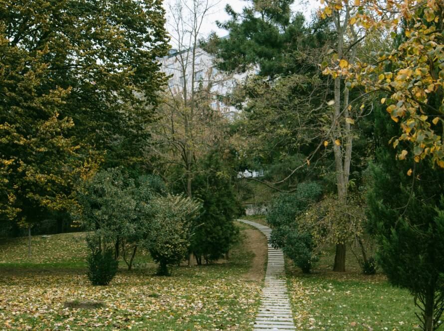 Paving Stones Pathway